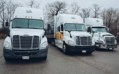 AZ vs DZ License In Ontario: Which One Is Right for You?